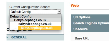 Choose your Webstore(s) Choose the last option in the list, which will be your webstore(s)